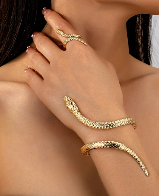 Armband Set mit einem Ring Schlangenmotiv